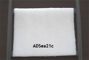 Padding for under ADSea21 image